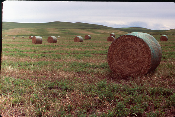 SF880r3_USM_iSRD_AutoCCR_3200ppi_48-24_MEOff_23
