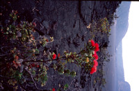 SF880r3_USM_iSRD_AutoCCR_6400ppi_48-24_MEon_08