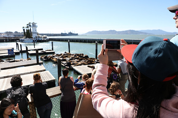 SF2015-88_ISO 400_1-1250 sec at f - 5.6_EF24-70mm f-2.8L II USM at 24 mm