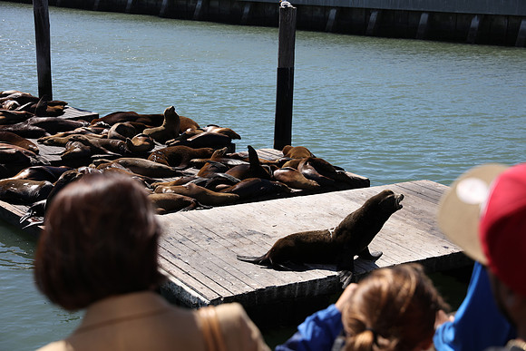 SF2015-92_ISO 100_1-500 sec at f - 5.6_EF24-70mm f-2.8L II USM at 67 mm