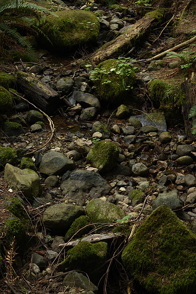D810-10_ISO 100_2.0 sec at f - 11_Zeiss Otus 1.4-55 ZF.2 at 55 mm