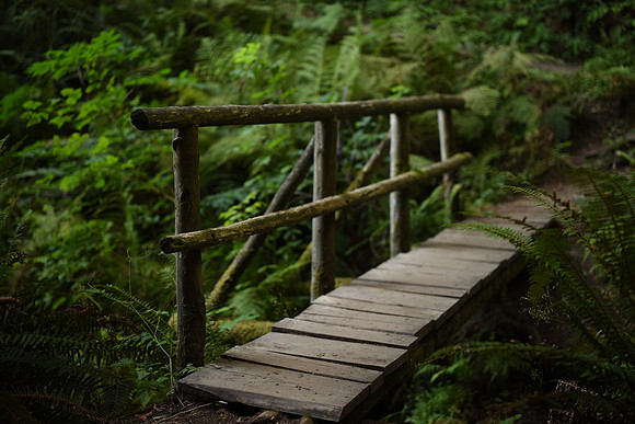 D810-62_ISO 100_1-25 sec at f - 1.8_Zeiss Otus 1.4-55 ZF.2 at 55 mm