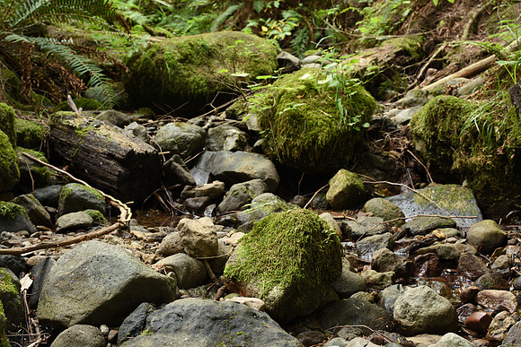 D810-8_ISO 100_6.0 sec at f - 16_Zeiss Otus 1.4-55 ZF.2 at 55 mm