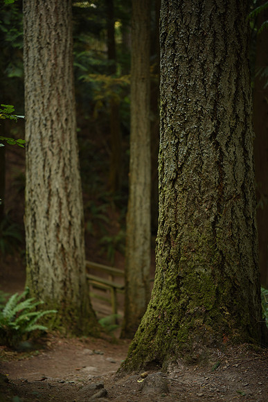 D810-28_ISO 100_1-20 sec at f - 1.4_Zeiss Otus 1.4-55 ZF.2 at 55 mm
