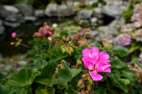 RX100IV-103_ISO 125_1-160 sec at f - 2.8_8.8-25.7 mm f-1.8-2.8 at 8.8 mm