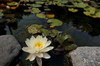RX100IV-89_ISO 125_1-200 sec at f - 3.5_8.8-25.7 mm f-1.8-2.8 at 8.8 mm