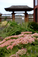 RX100IV-83_ISO 125_1-320 sec at f - 5.6_8.8-25.7 mm f-1.8-2.8 at 20.63 mm