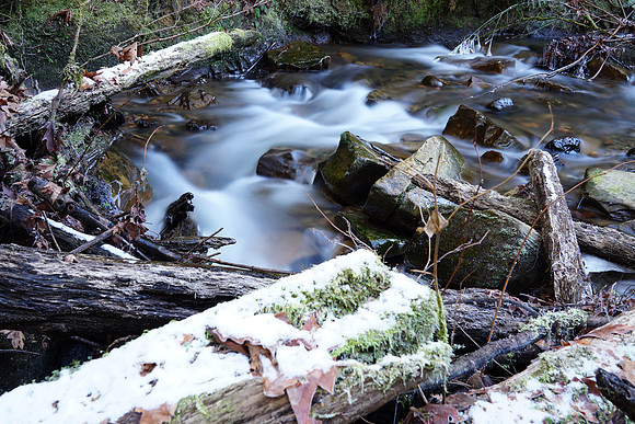 a6500 Snow-32 ILCE-6500 FE 24-70mm F2.8 GM 24 mm 15.0 sec at f - 5.6 ISO 100_