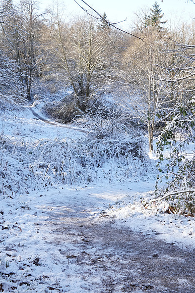 a6500 Snow-128 ILCE-6500 FE 24-70mm F2.8 GM 26 mm 1-60 sec at f - 22 ISO 1250_