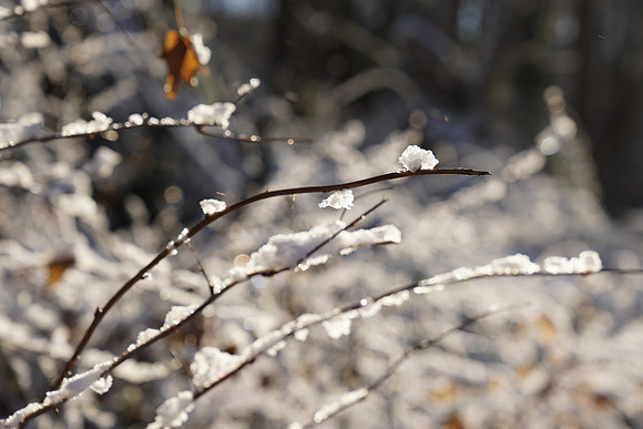 a6500 Snow-120 ILCE-6500 FE 24-70mm F2.8 GM 70 mm 1-500 sec at f - 4.5 ISO 100_