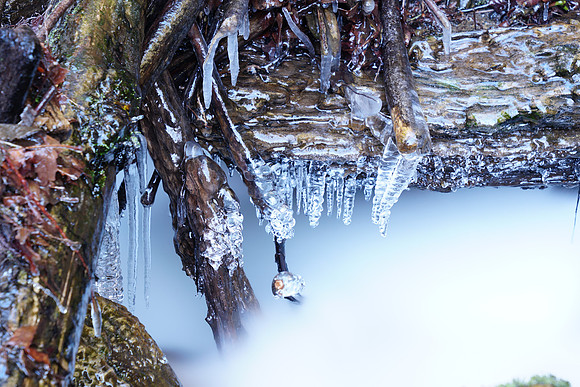 a6500 Snow-68 ILCE-6500 FE 24-70mm F2.8 GM 70 mm 30.0 sec at f - 5.6 ISO 100_