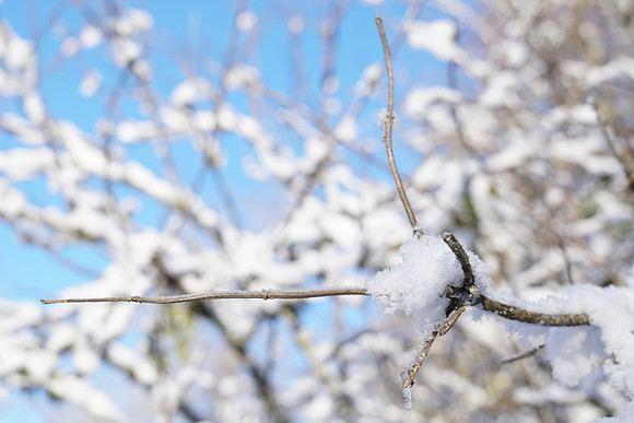 a6500 Snow-134 ILCE-6500 FE 24-70mm F2.8 GM 43 mm 1-400 sec at f - 4.0 ISO 100_