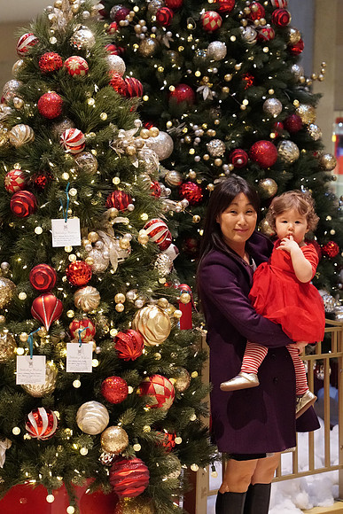 a6500 Santa-177 ILCE-6500 FE 24-70mm F2.8 GM 70 mm 1-250 sec at f - 4.0 ISO 6400_