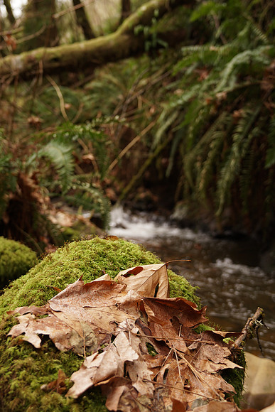a6500-129 ILCE-6500 FE 24-70mm F2.8 GM 26 mm 1-60 sec at f - 2.8 ISO 320_