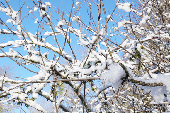 a6500 Snow-132 ILCE-6500 FE 24-70mm F2.8 GM 43 mm 1-80 sec at f - 22 ISO 640_