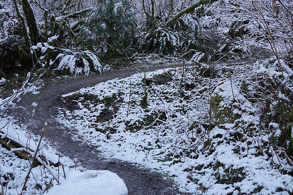 a6500 Snow-80 ILCE-6500 FE 24-70mm F2.8 GM 25 mm 1-60 sec at f - 5.6 ISO 250_