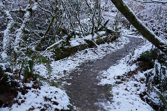 a6500 Snow-78 ILCE-6500 FE 24-70mm F2.8 GM 24 mm 1-60 sec at f - 5.6 ISO 320_