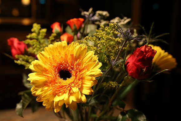 SigmaFlowers-10_ISO 3200_1-60 sec at f - 4.0_35mm at 35 mm