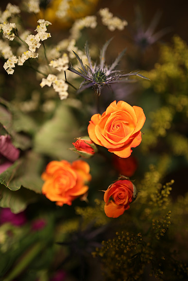 SigmaFlowers-29_ISO 320_1-80 sec at f - 1.4_35mm at 35 mm
