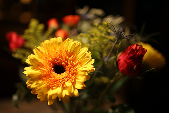 SigmaFlowers-8_ISO 400_1-60 sec at f - 1.4_35mm at 35 mm