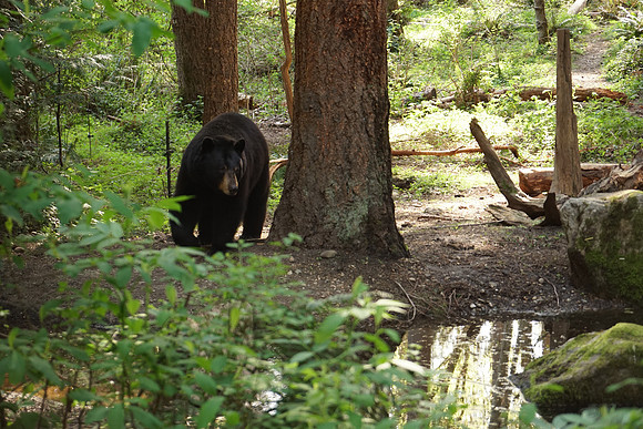 a6300 NWTrek-303_ISO 800_1-125 sec at f - 4.0_E 16-70mm F4 ZA OSS at 70 mm