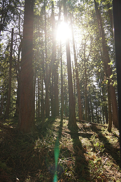 a6300 NWTrek-157_ISO 100_1-250 sec at f - 4.0_E 16-70mm F4 ZA OSS at 18 mm