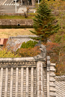 Japan Matsumoto 2018-37 NIKON Z 7 NIKKOR Z 24-70mm f-4 S 70 mm 1-250 sec at f - 5.6 ISO 100_