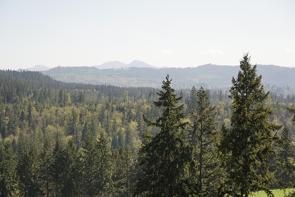 a6300 NWTrek-149_ISO 100_1-640 sec at f - 4.0_E 16-70mm F4 ZA OSS at 55 mm