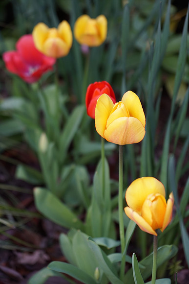 a6300 Day 3-240_ISO 400_1-250 sec at f - 4.0_E 16-70mm F4 ZA OSS at 70 mm