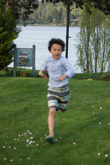 a6300 Day 3-144_ISO 320_1-640 sec at f - 4.0_E 16-70mm F4 ZA OSS at 70 mm