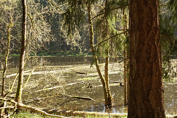 a6300 NWTrek-223_ISO 1000_1-1250 sec at f - 4.0_E 16-70mm F4 ZA OSS at 23 mm