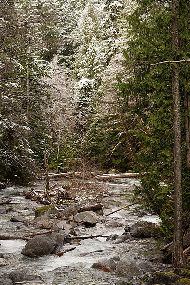 Leavenworth Dec 2017-274 ILCE-7RM3 FE 90mm F2.8 Macro G OSS 90 mm 1-160 sec at f - 5.6 ISO 500_