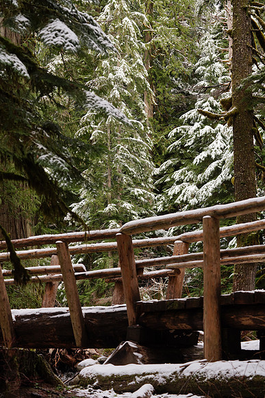 Leavenworth Dec 2017-352 ILCE-7RM3 FE 90mm F2.8 Macro G OSS 90 mm 1-80 sec at f - 5.6 ISO 400_