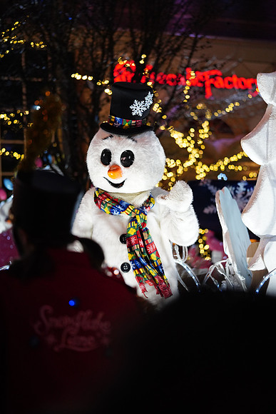 Leavenworth Dec 2017-416 ILCE-7RM3 FE 90mm F2.8 Macro G OSS 90 mm 1-500 sec at f - 2.8 ISO 3200_