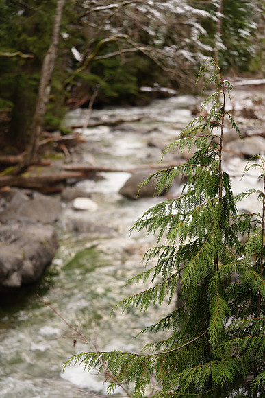 Leavenworth Dec 2017-340 ILCE-7RM3 FE 90mm F2.8 Macro G OSS 90 mm 1-160 sec at f - 2.8 ISO 250_