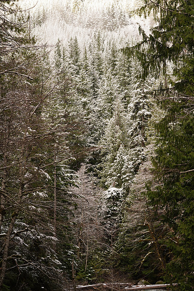 Leavenworth Dec 2017-278 ILCE-7RM3 FE 90mm F2.8 Macro G OSS 90 mm 1-160 sec at f - 8.0 ISO 500_