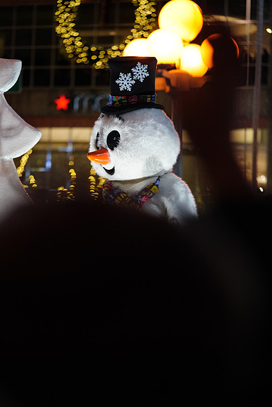 Leavenworth Dec 2017-412 ILCE-7RM3 FE 90mm F2.8 Macro G OSS 90 mm 1-500 sec at f - 2.8 ISO 3200_