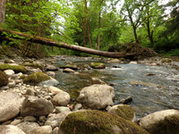 DJI_0005