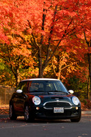 D850 Fall-84 NIKON D850 135.0 mm f-1.8 135 mm 1-200 sec at f - 5.0 ISO 400_