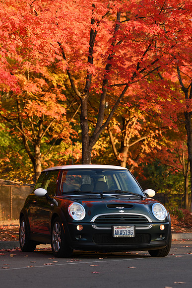 D850 Fall-84 NIKON D850 135.0 mm f-1.8 135 mm 1-200 sec at f - 5.0 ISO 400_