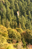 D850 Fall-598 NIKON D850 135.0 mm f-1.8 135 mm 1-2000 sec at f - 2.8 ISO 560_
