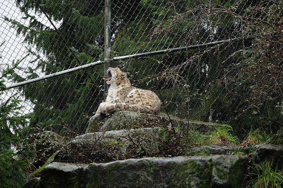 XE2Zoo-171_ISO 640_1-60 sec at f - 2.8_XF50-140mmF2.8 R LM OIS WR at 140 mm
