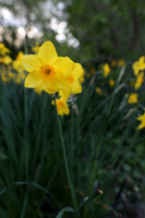 LensTest-173_ISO 500_1-200 sec at f - 4.0_24mm at 24 mm