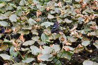 Canon R5 Week 1-18 [1-250 sec at f - 5.6 105 mm Canon Canon EOS R5 RF24-105mm F4 L IS USM]