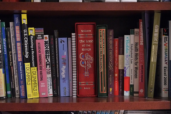 X-E1 Bookshelf-22_ISO 12800_1-15 sec at f - 5.6_XF18-55mmF2.8-4 R LM OIS at 55 mm