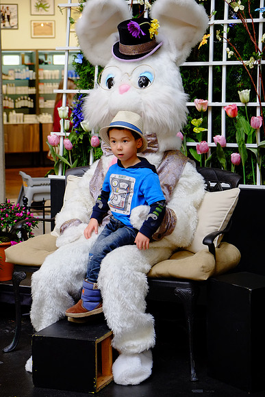 Fujifilm XE-1-345_ISO 800_1-100 sec at f - 4.0_XF18-55mmF2.8-4 R LM OIS at 55 mm