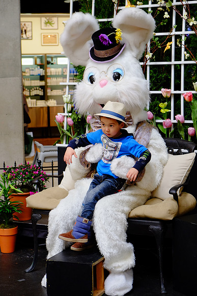 Fujifilm XE-1-335_ISO 800_1-100 sec at f - 4.0_XF18-55mmF2.8-4 R LM OIS at 52.7 mm