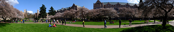 CherryBlossomX-E1-9_ISO 200_1-1600 sec at f - 4.0_XF18-55mmF2.8-4 R LM OIS at 18 mm