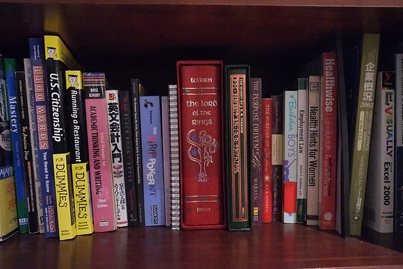 X-E1 Bookshelf-18_ISO 25600_1-25 sec at f - 5.6_XF18-55mmF2.8-4 R LM OIS at 18 mm