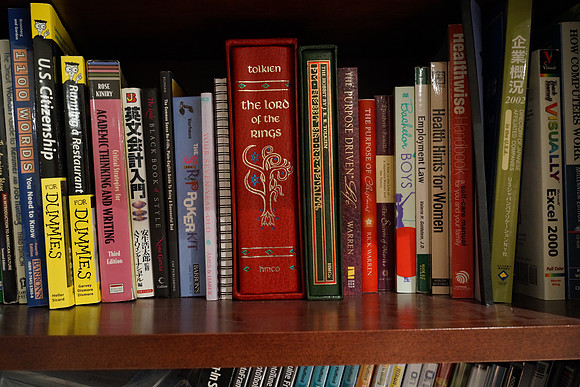 Sony RX1 Bookshelf-12_ISO 3200_0.4 sec at f - 8.0_35.0 mm f-2.0 at 35 mm
